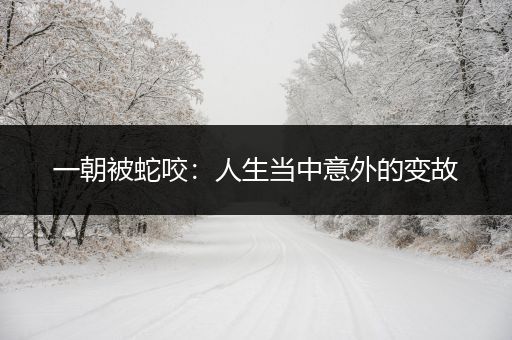 一朝被蛇咬:人生当中意外的变故
