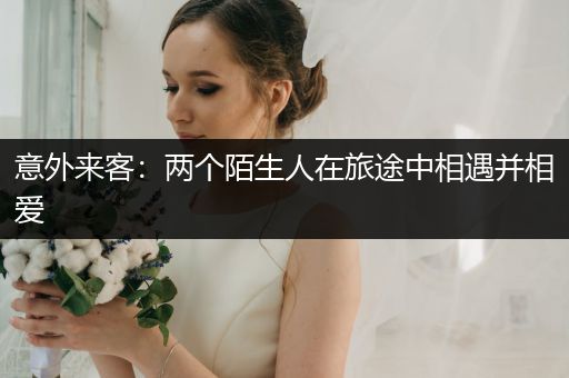 意外来客:两个陌生人在旅途中相遇并相爱