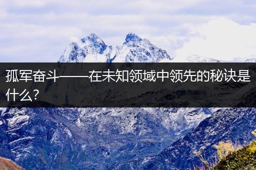 孤军奋斗——在未知领域中领先的秘诀是什么?