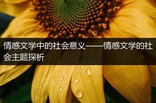 情感文学中的社会意义——情感文学的社会主题探析