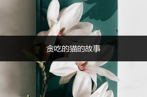 贪吃的猫的故事