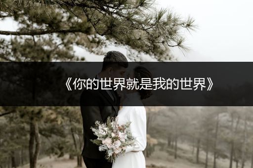 《你的世界就是我的世界》