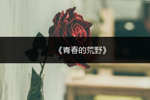 《青春的荒野》