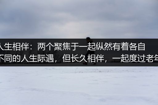 人生相伴：两个聚焦于一起纵然有着各自不同的人生际遇，但长久相伴，一起度过老年