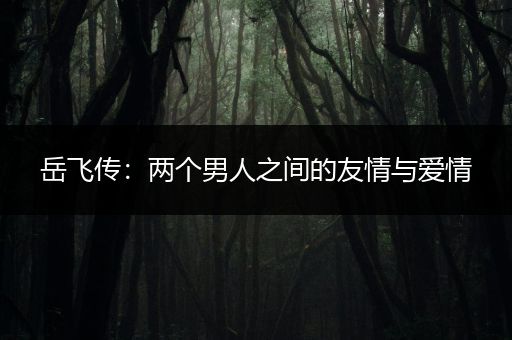 岳飞传：两个男人之间的友情与爱情