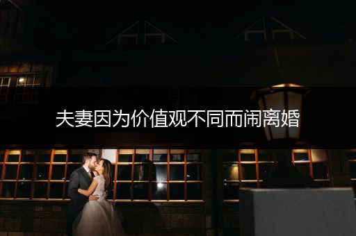 夫妻因为价值观不同而闹离婚