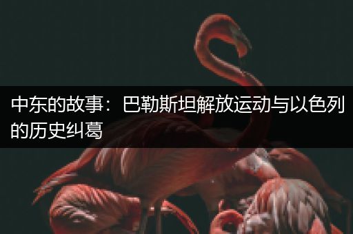 中东的故事：巴勒斯坦解放运动与以色列的历史纠葛