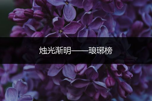 烛光渐明——琅琊榜