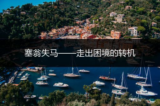 塞翁失马——走出困境的转机