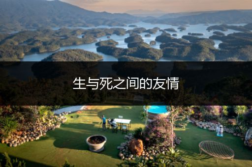 生与死之间的友情