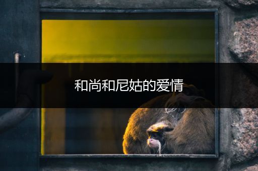 和尚和尼姑的爱情
