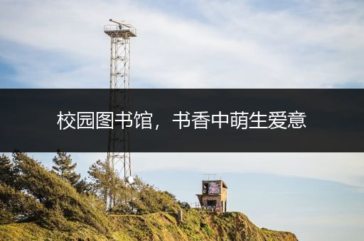 校园图书馆，书香中萌生爱意