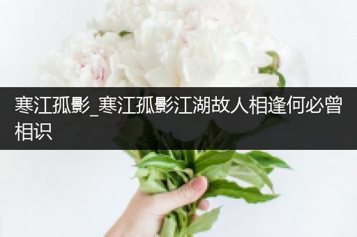寒江孤影_寒江孤影江湖故人相逢何必曾相识