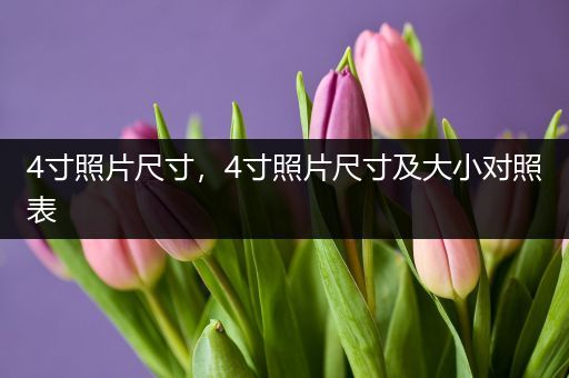 4寸照片尺寸,4寸照片尺寸及大小对照表-比翼知识网