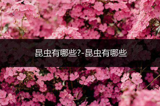 昆虫有哪些?-昆虫有哪些