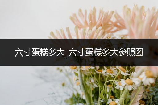 六寸蛋糕多大_六寸蛋糕多大参照图-比翼知识网