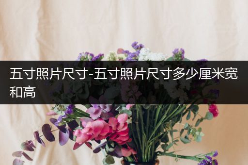 五寸照片尺寸-五寸照片尺寸多少厘米宽和高-比翼知识网