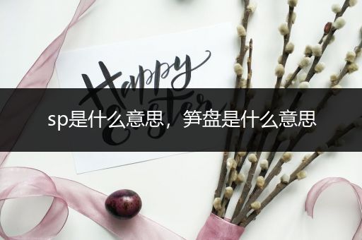 sp是什么意思，笋盘是什么意思