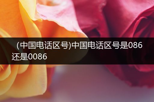 （中国电话区号)中国电话区号是086还是0086