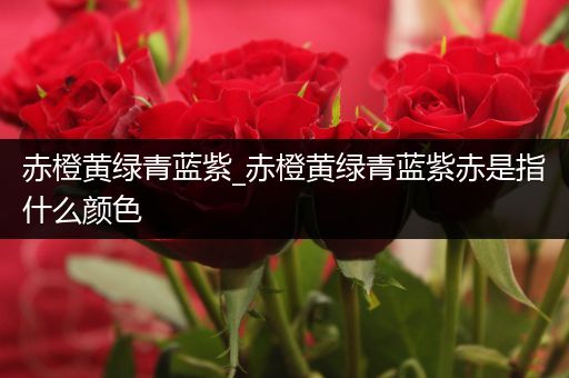 赤橙黄绿青蓝紫_赤橙黄绿青蓝紫赤是指什么颜色