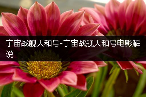 宇宙战舰大和号-宇宙战舰大和号电影解说