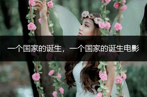 一个国家的诞生，一个国家的诞生电影