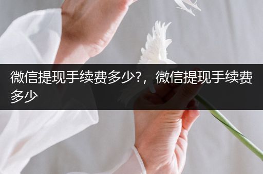 微信提现手续费多少?，微信提现手续费多少
