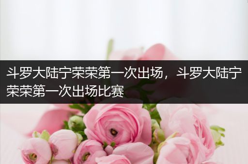 斗罗大陆宁荣荣第一次出场，斗罗大陆宁荣荣第一次出场比赛