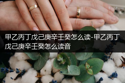 甲乙丙丁戊己庚辛壬癸怎么读-甲乙丙丁戊己庚辛壬癸怎么读音