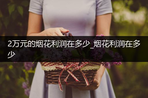 2万元的烟花利润在多少_烟花利润在多少