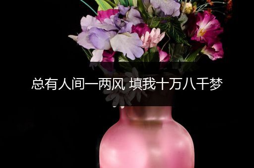 总有人间一两风 填我十万八千梦