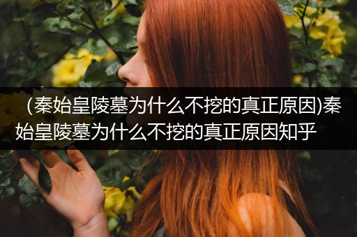 （秦始皇陵墓为什么不挖的真正原因)秦始皇陵墓为什么不挖的真正原因知乎