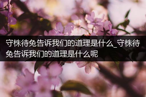 守株待兔告诉我们的道理是什么_守株待兔告诉我们的道理是什么呢