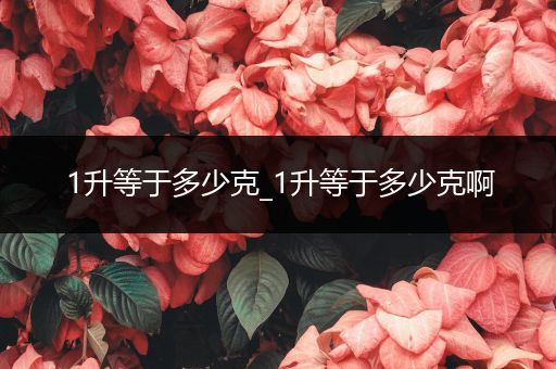 1升等于多少克_1升等于多少克啊
