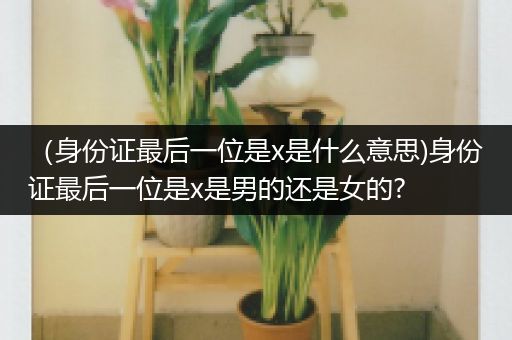 （身份证最后一位是x是什么意思)身份证最后一位是x是男的还是女的?