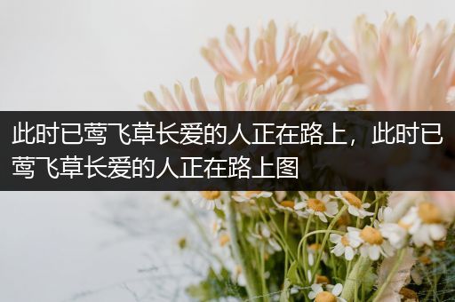 此时已莺飞草长爱的人正在路上，此时已莺飞草长爱的人正在路上图