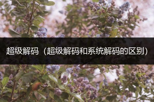 超级解码（超级解码和系统解码的区别）