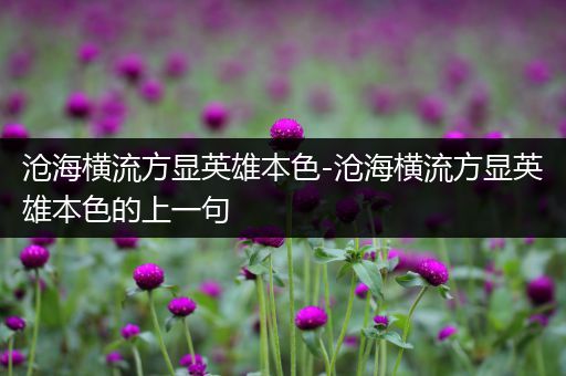 沧海横流方显英雄本色-沧海横流方显英雄本色的上一句