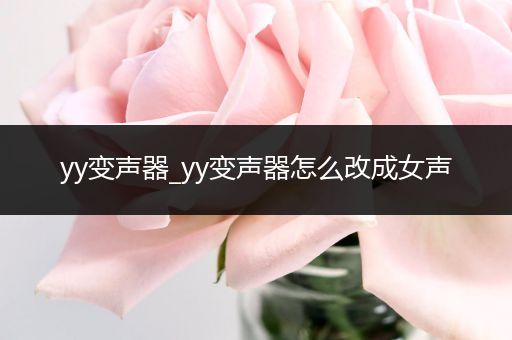 yy变声器_yy变声器怎么改成女声