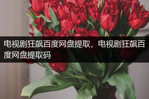 电视剧狂飙百度网盘提取，电视剧狂飙百度网盘提取码