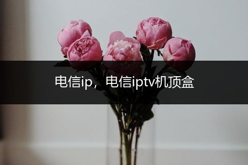 电信ip，电信iptv机顶盒