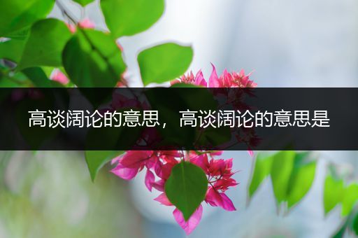 高谈阔论的意思，高谈阔论的意思是