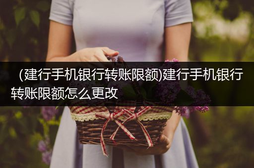 （建行手机银行转账限额)建行手机银行转账限额怎么更改