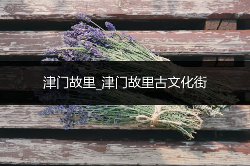 津门故里_津门故里古文化街