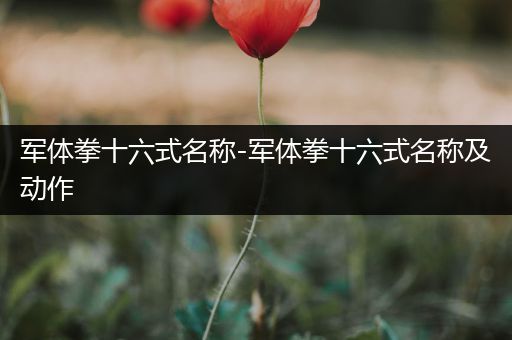 军体拳十六式名称-军体拳十六式名称及动作
