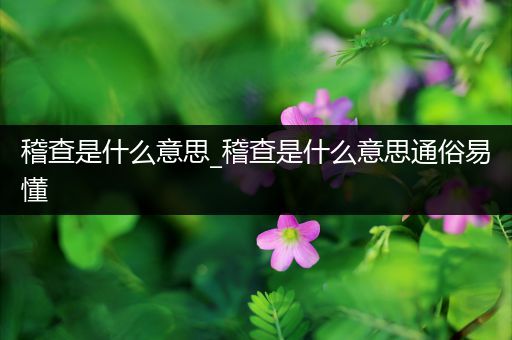 稽查是什么意思_稽查是什么意思通俗易懂