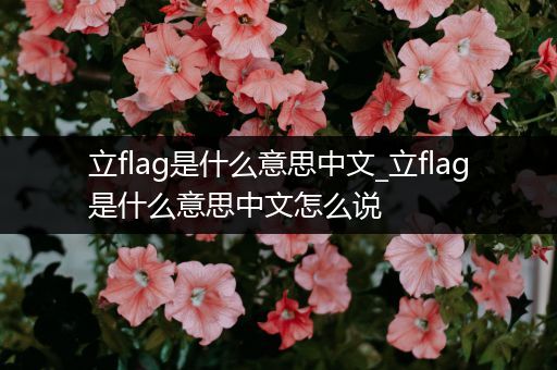 立flag是什么意思中文_立flag是什么意思中文怎么说-比翼知识网