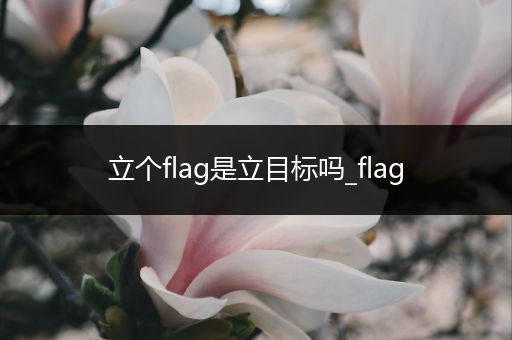 立个flag是立目标吗_flag-比翼知识网