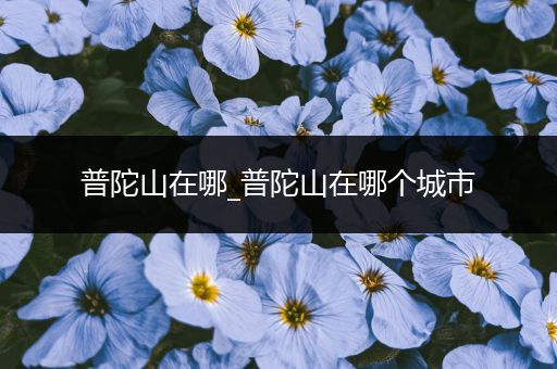 普陀山在哪_普陀山在哪个城市