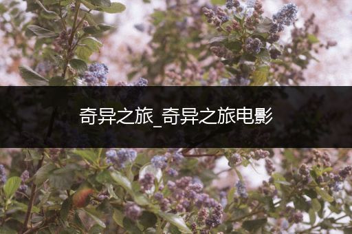 奇异之旅_奇异之旅电影